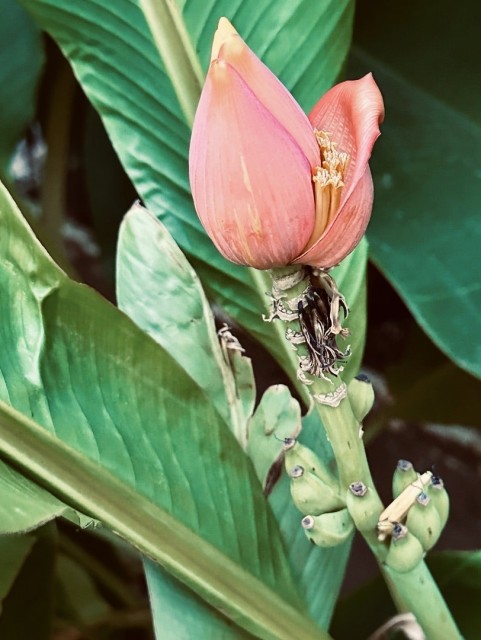 o1080108015488979289